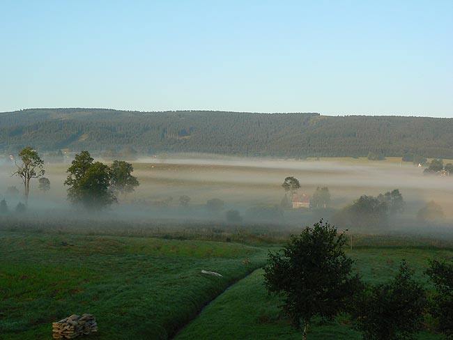 marzena_mist_and_fog.jpg