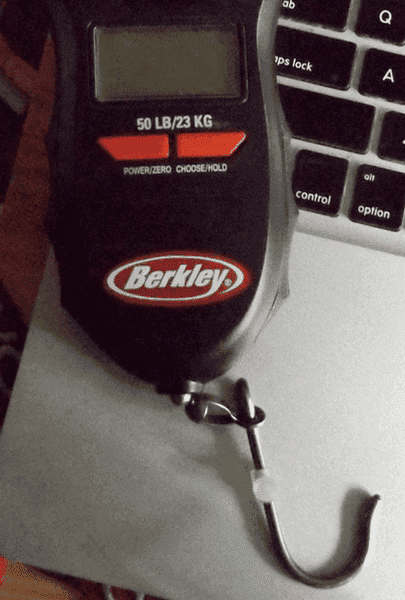 mass.and.force.measuring.device.png
