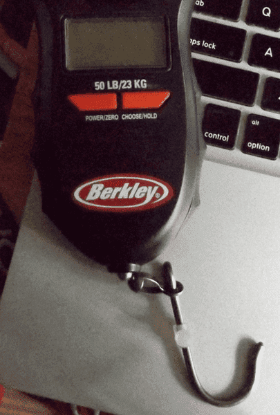 mass.and.force.measuring.device.png