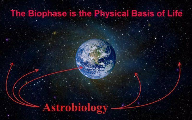 Matveev-2016-Biophase.is.physical.basis.of.life.jpg