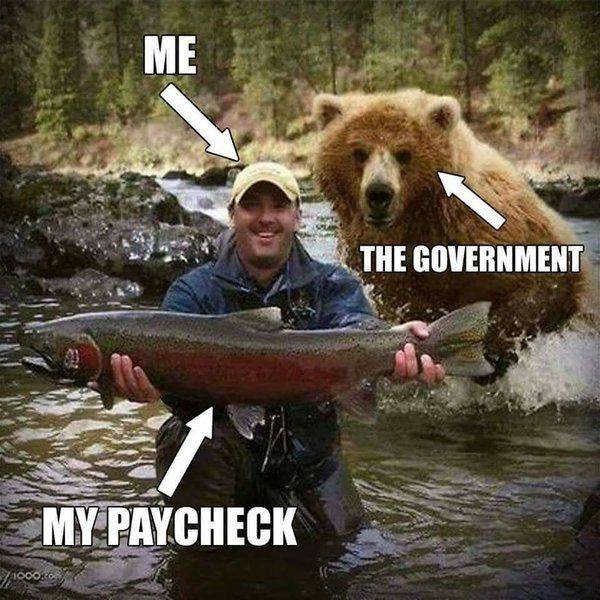 me,my paycheck,the govt.jpg