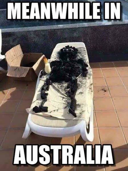 Meanwhile in Australia.jpg