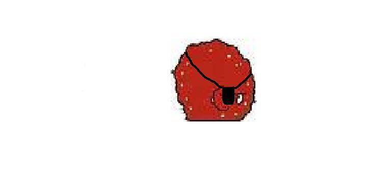 Meatwadpatch.JPG