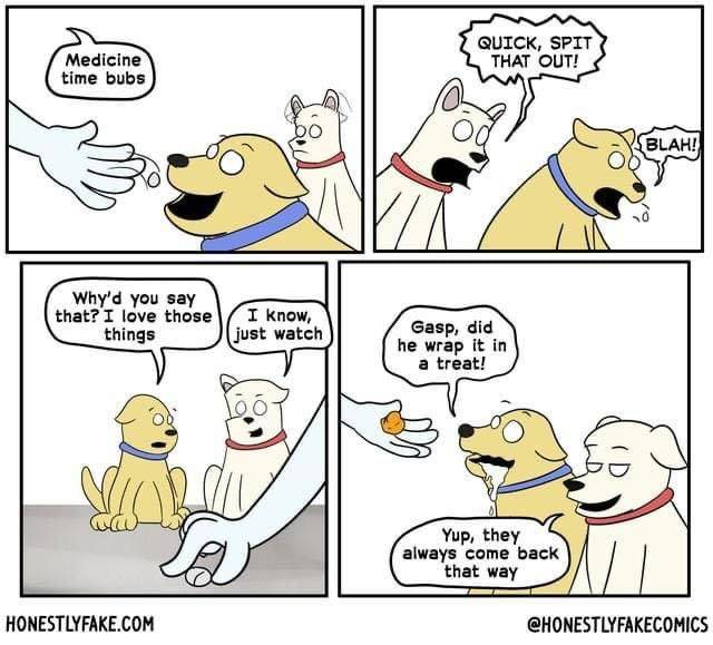 medecine-treat.jpg