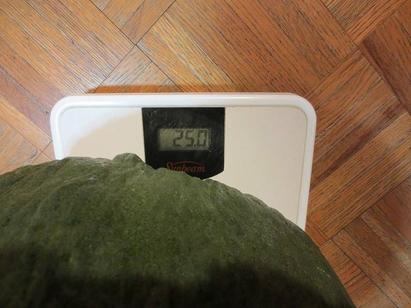 melonweight.jpg