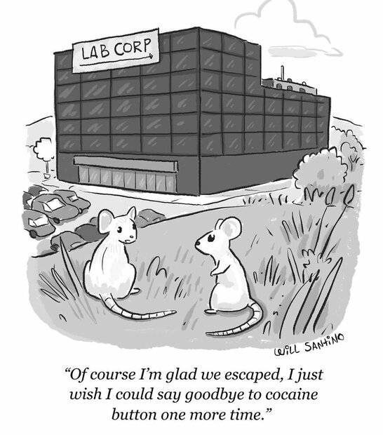 Mice and cocaine.jpg