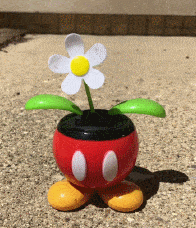 mickey plant.gif