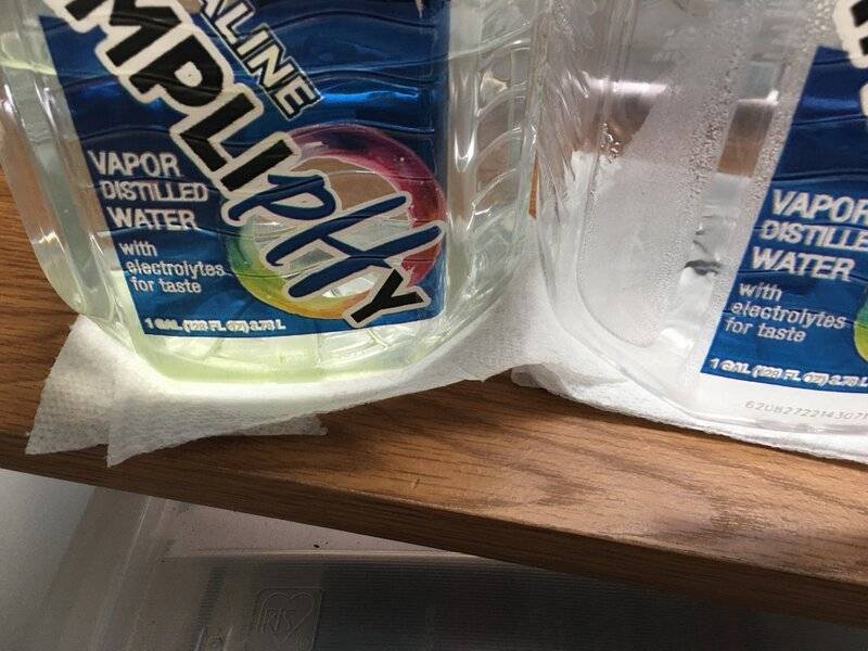 Mold in Plastic Water Bottles? What does it eat?