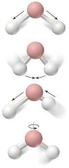 Molecule Degree of freedom.jpg