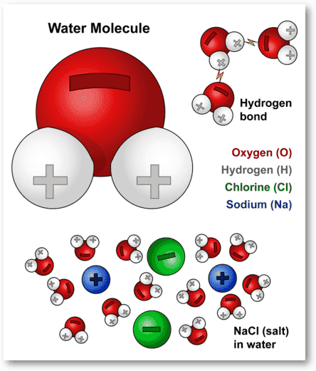 molecules_ds.png
