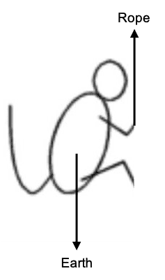 Monkey.png