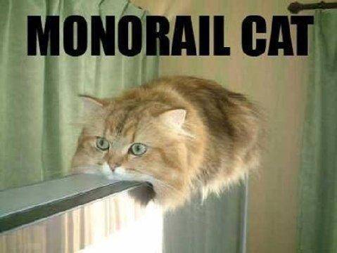 monorail cat.jpg