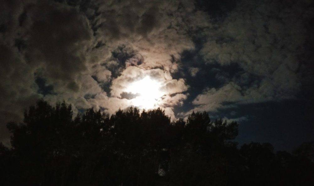 Moon copy.JPG