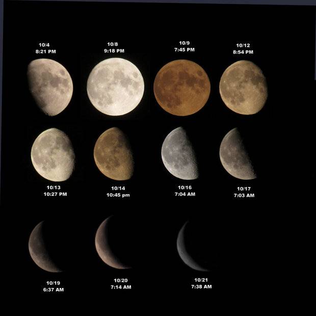 moon_collage.JPG