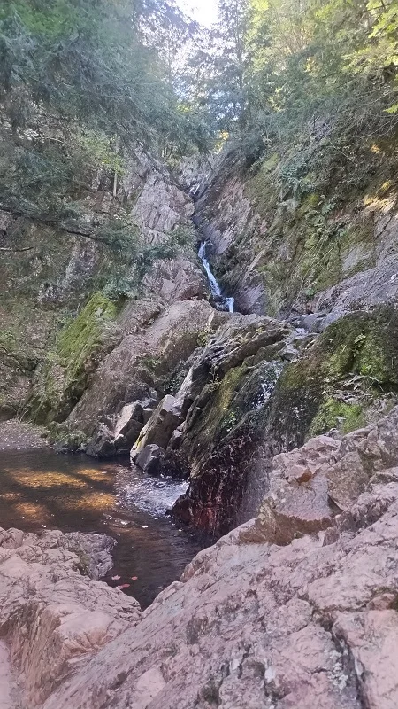 Morgan Falls.webp
