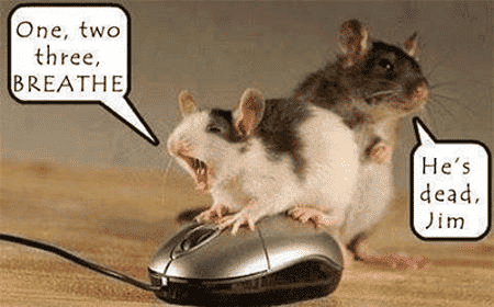 Mouse CPR.png