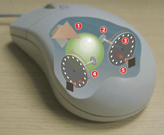 Mouse-mechanism-cutaway.png