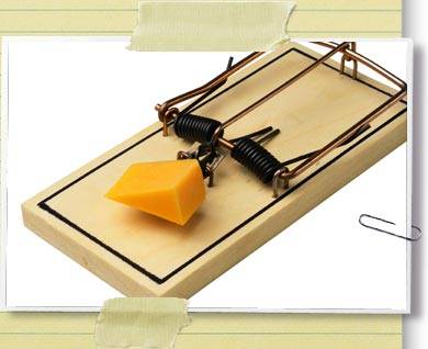 Mouse-Trap-Cheese.jpg