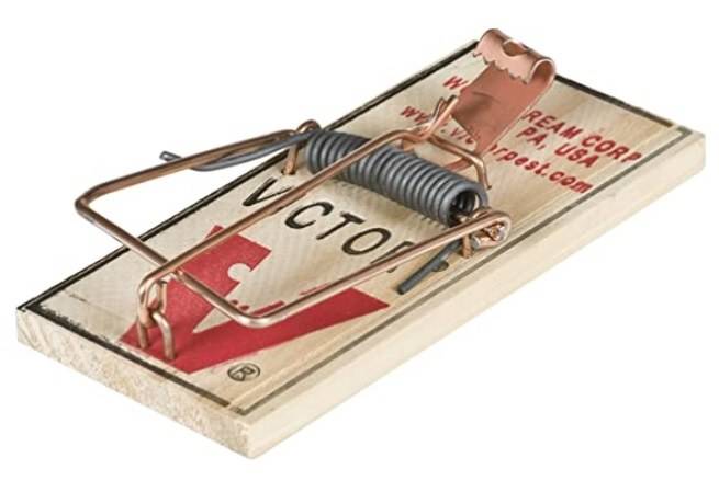 Mouse trap.jpg
