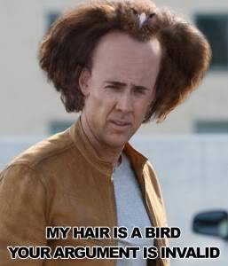 my_hair_is_a_bird-257x3001.jpg