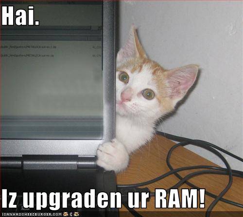 my_lolcat_1_by_narutoartexpert-d33o2sr.jpg