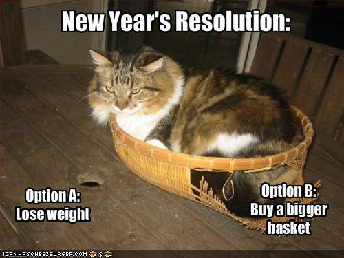 new-years-resolutions-icanhaz-cat.jpg