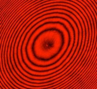 Newtons_rings_650nm_red_laser_light.jpg