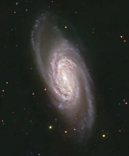 NGC2903_2025_Final_SmallForPF.webp