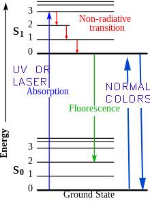 NORMAL COLOR TRANSITIONS.jpg