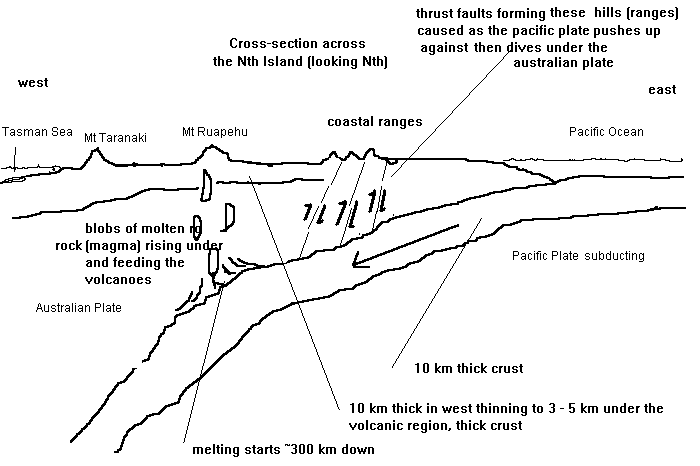 Nth Is X-section.GIF
