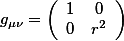 nu}%20=%20\[%20\left(%20\begin{array}{cc}%201%20&%200%20\\%200%20&%20r^2%20\end{array}%20\right).gif