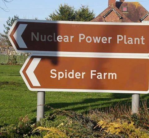 nuclear power and spiders.jpg