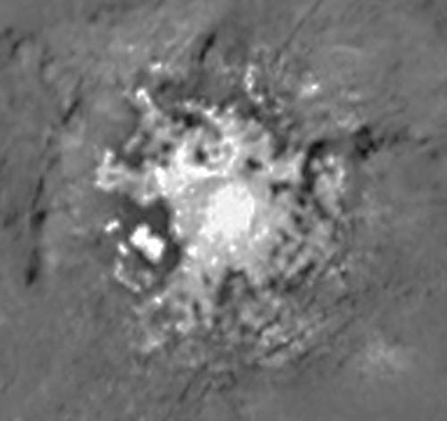 occator large spot.jpg