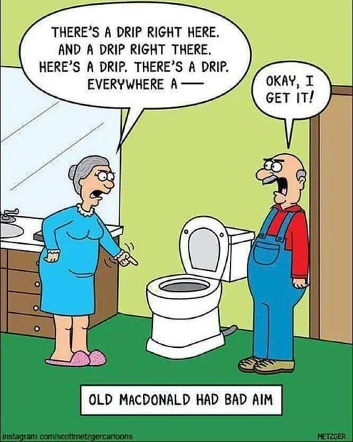 Old Macdonald had a bad aim.webp