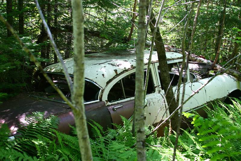olds2.jpg
