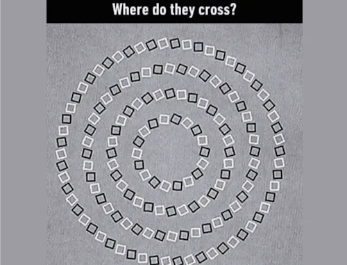 optical illusion sprial.webp