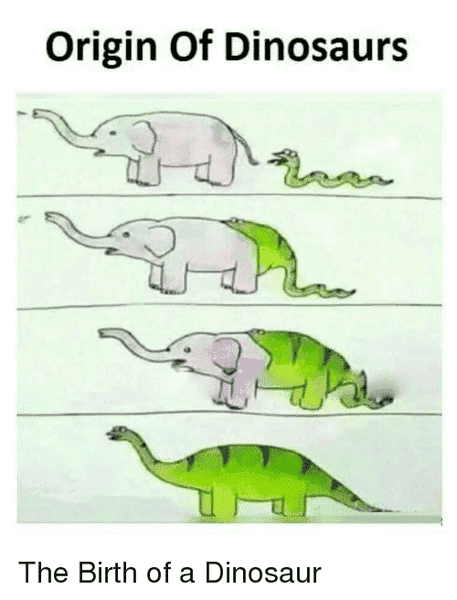 origin-of-dinosaurs-the-birth-of-a-dinosaur-21821242.png