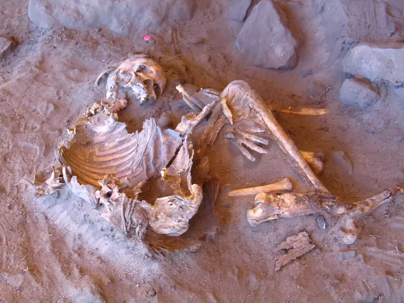 Thread 'Did they discover another descendant of homo erectus?'