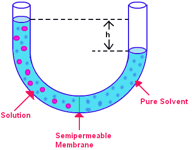 osmotic-pressure.png