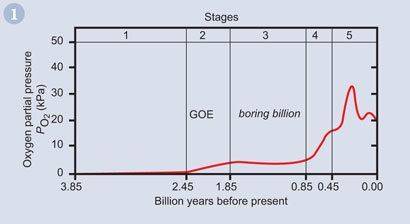 oxygen.jpg