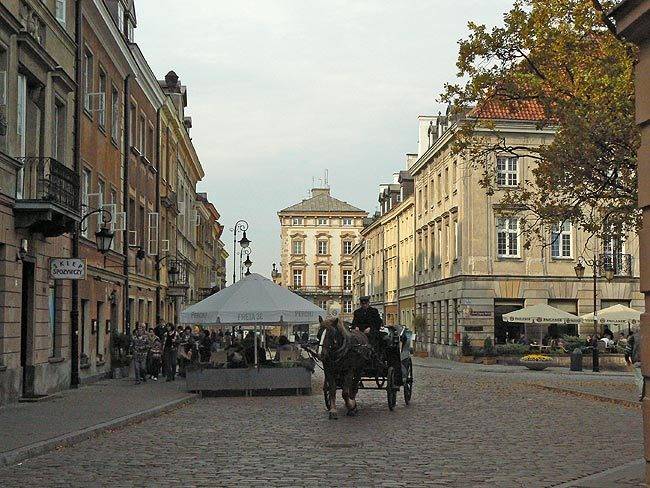 P1060384.jpg