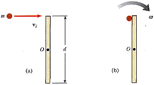 p11-54.gif