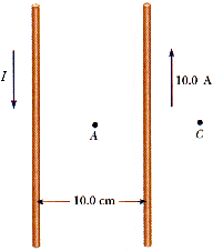p19_52.gif