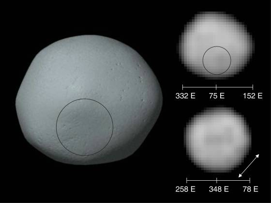 Pallus-images.jpg