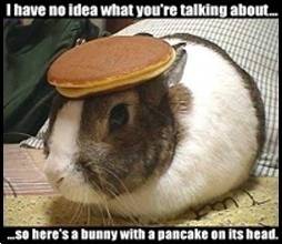 PancakeBunny.jpg