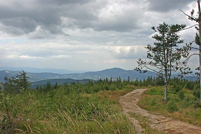 path_marcin.jpg