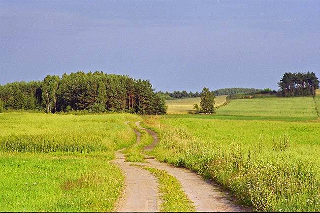 path_marcin2.jpg
