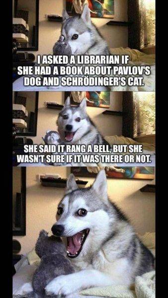 pavlov and schrodinger.jpg