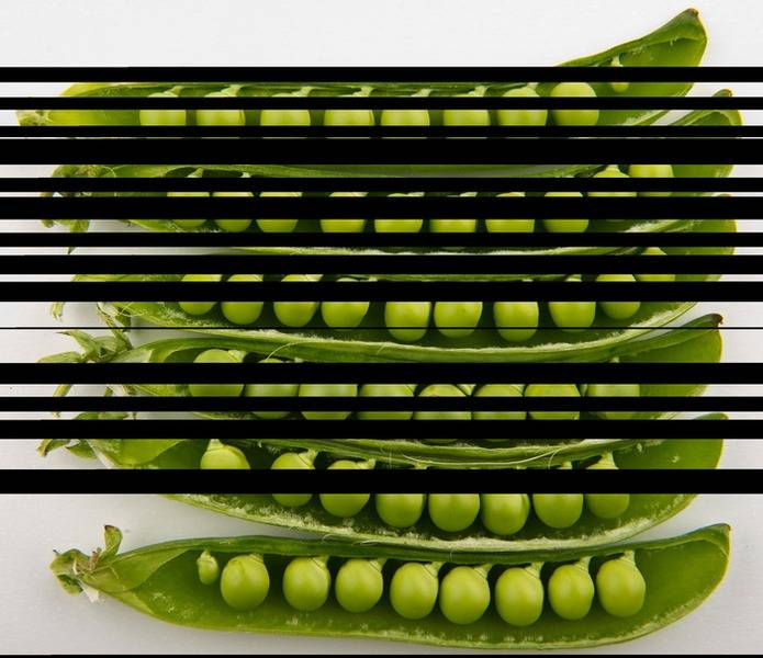 Peas_in_pods_-_Studio.jpg