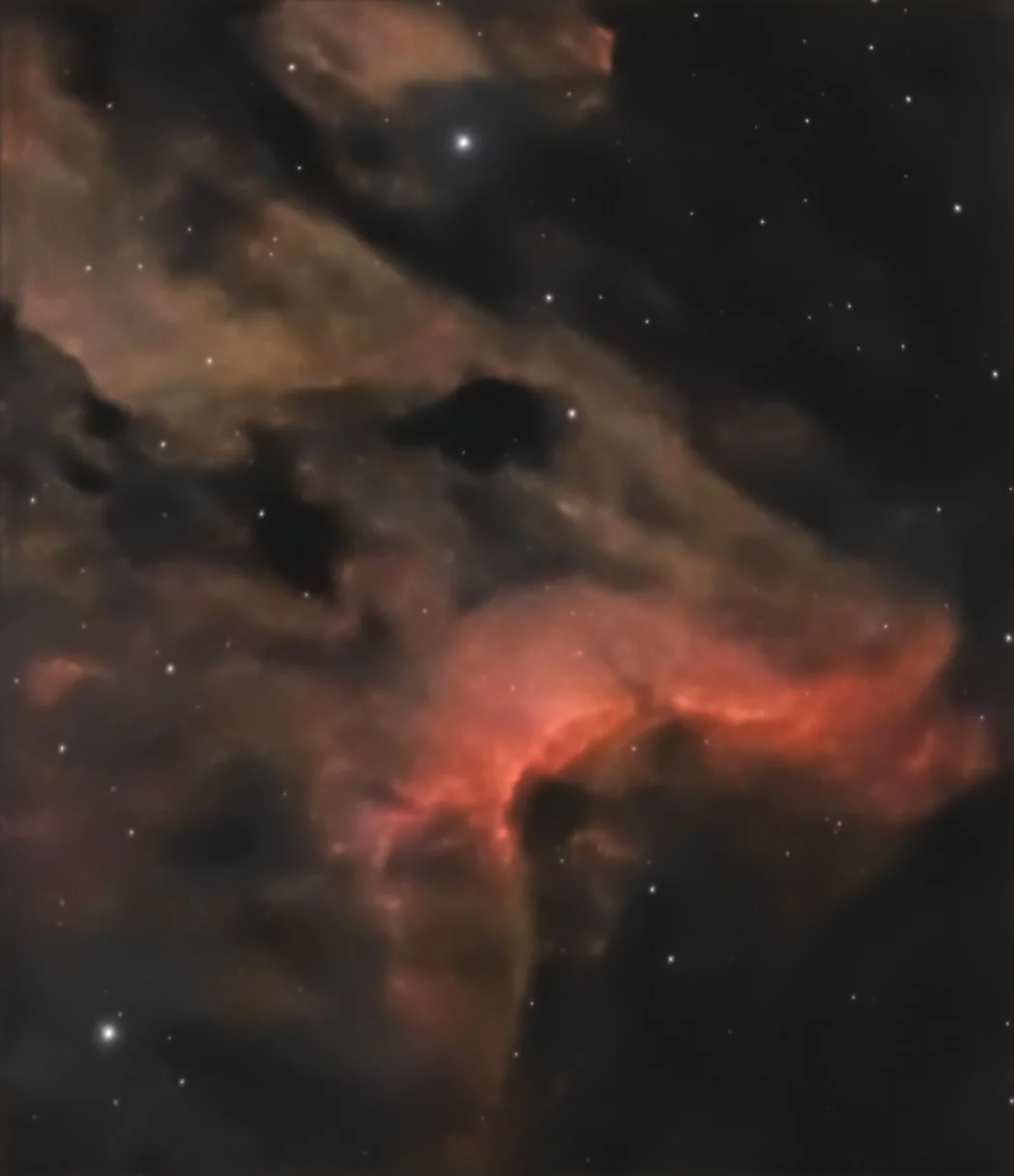 Pelican_nebula.webp